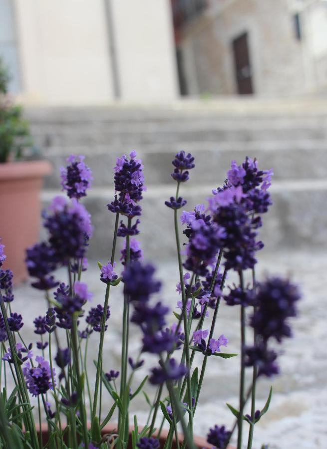B&B Al Gravattone Venosa Εξωτερικό φωτογραφία